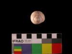 L_V23d6252 A7q435 U829 dM shell f155